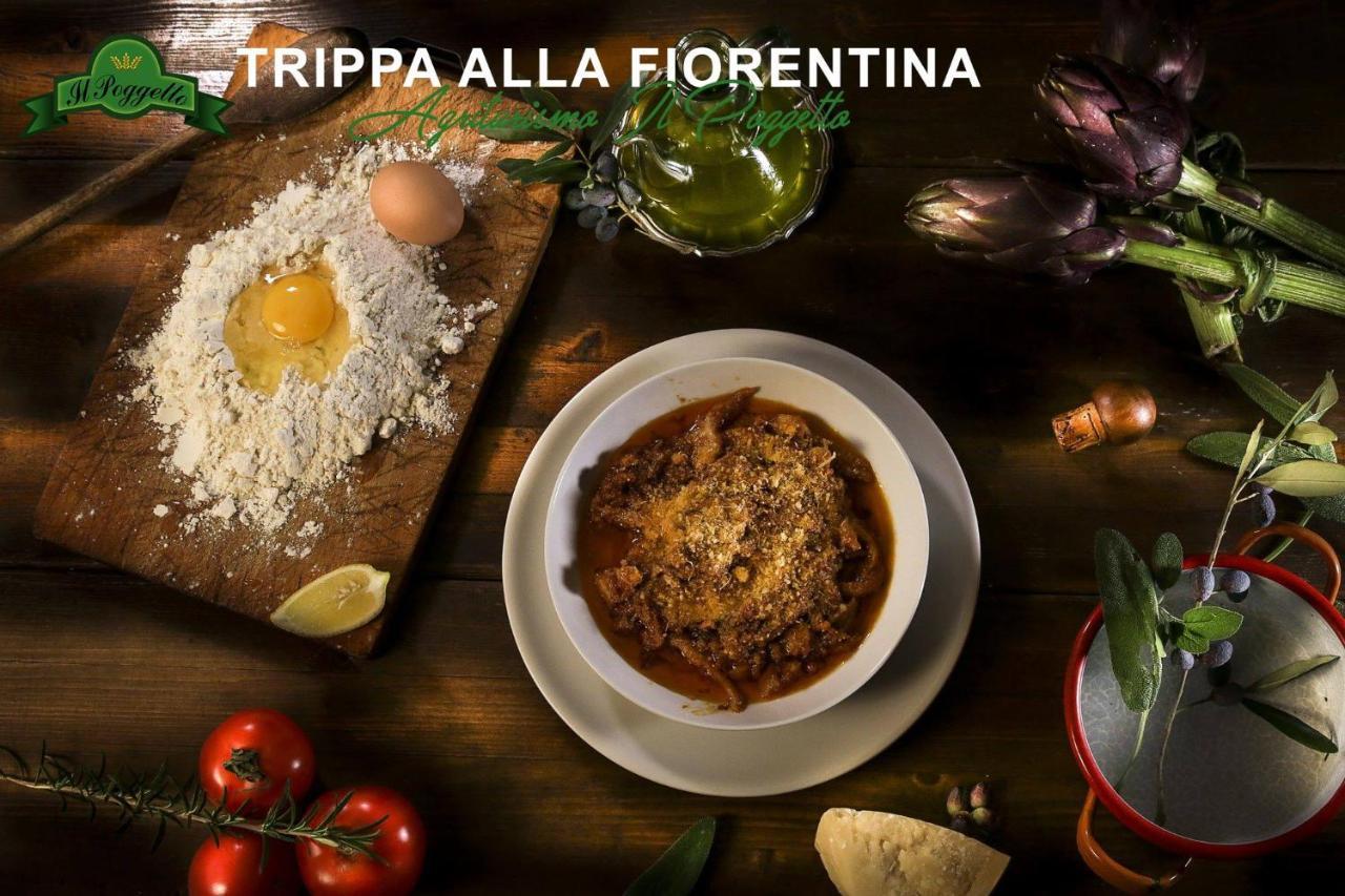 Agriturismo il Poggetto Torre Esterno foto