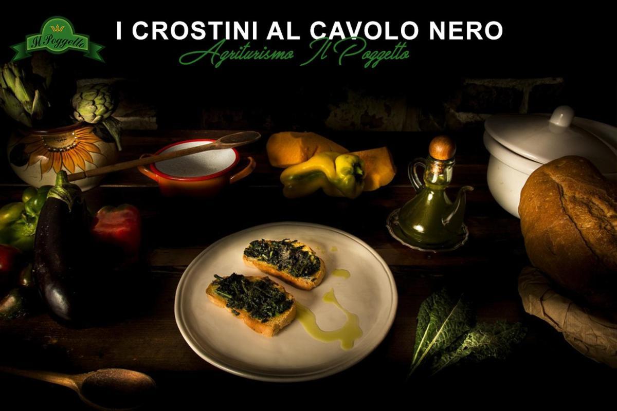 Agriturismo il Poggetto Torre Esterno foto
